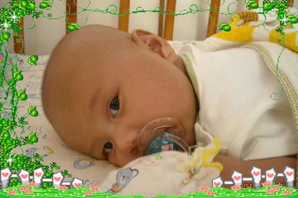 DSCN5683=.jpg