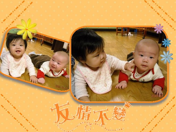 DSCN0431.JPG