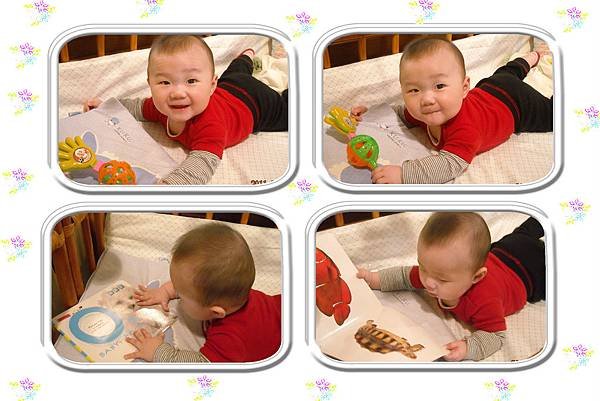 DSCN4803=.jpg