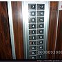 P1020175.jpg