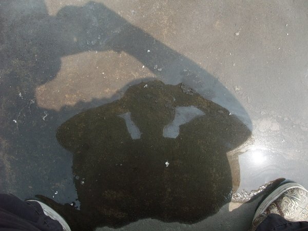 DSCF9973.JPG