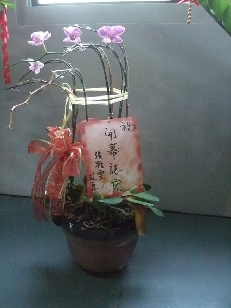 DSCF1869.JPG
