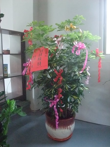 DSCF1870.JPG