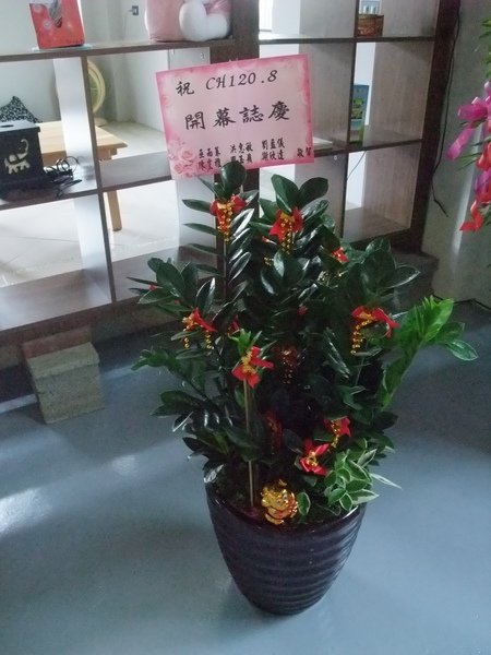 DSCF1871.JPG