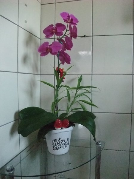 DSCF1874.JPG