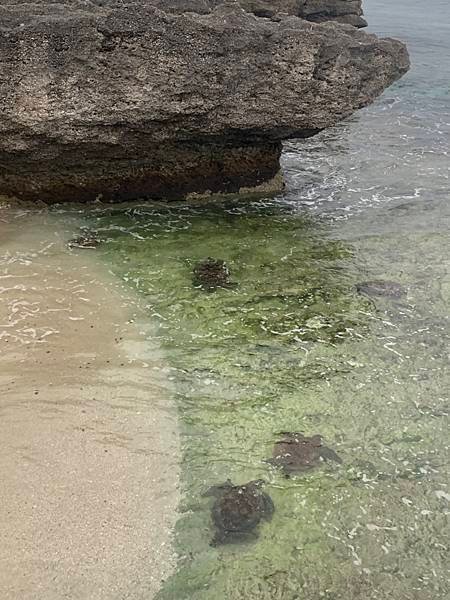 民宿の特徴