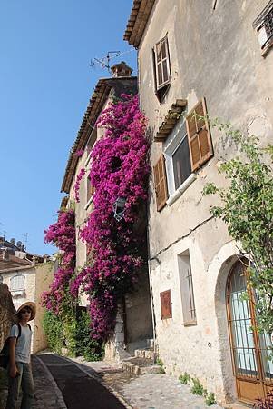 IMG_7245