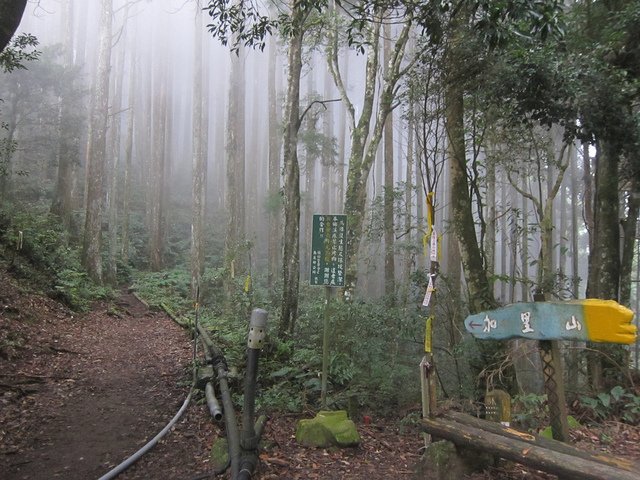 因為抵達時間太晚，只能在登山口附近晃晃 - 20151205-1206吻吻霧裡中