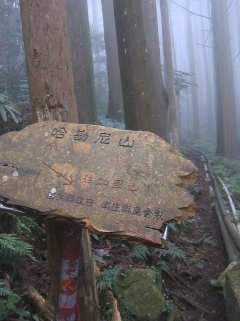 哈堪尼山的登山口也在這 - 20151205-1206吻吻霧裡中