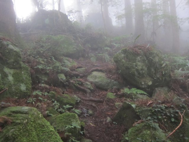 路況滿原始，很好滑！ - 20151205-1206吻吻霧裡中