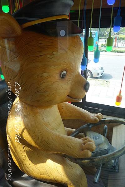 DSC00877.jpg