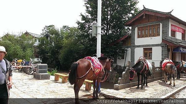 2014 09 02 束河古鎮小市集 (31)