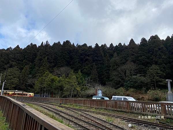 2021新春遊阿里山