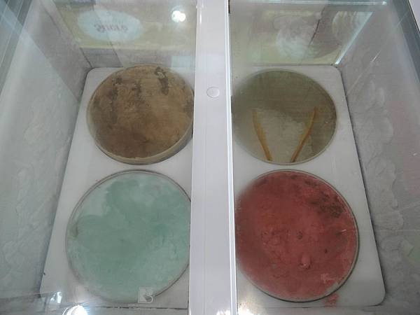 DSCN6270.JPG