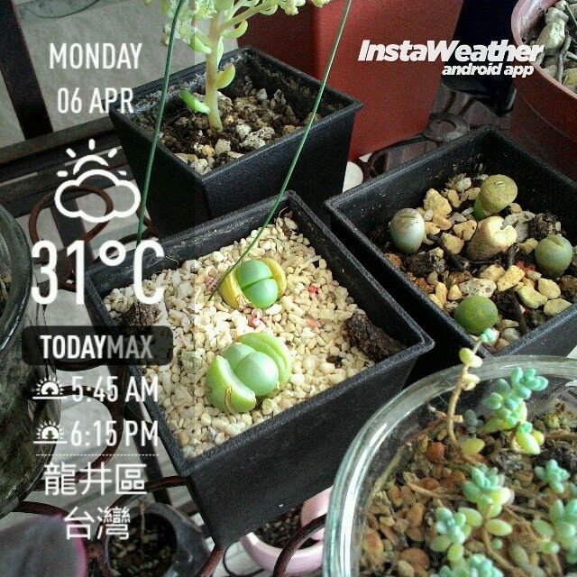 instaweather_20150406_151843.jpg