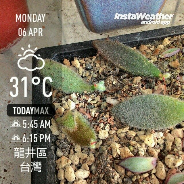 instaweather_20150406_152009.jpg