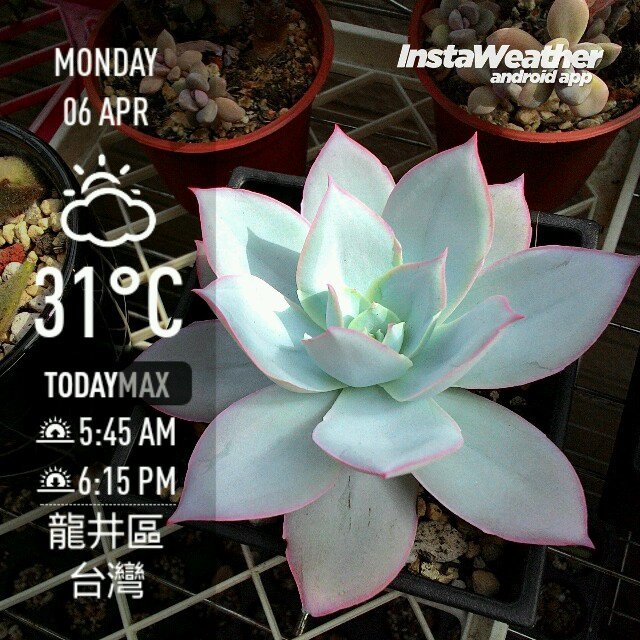 instaweather_20150406_150215.jpg