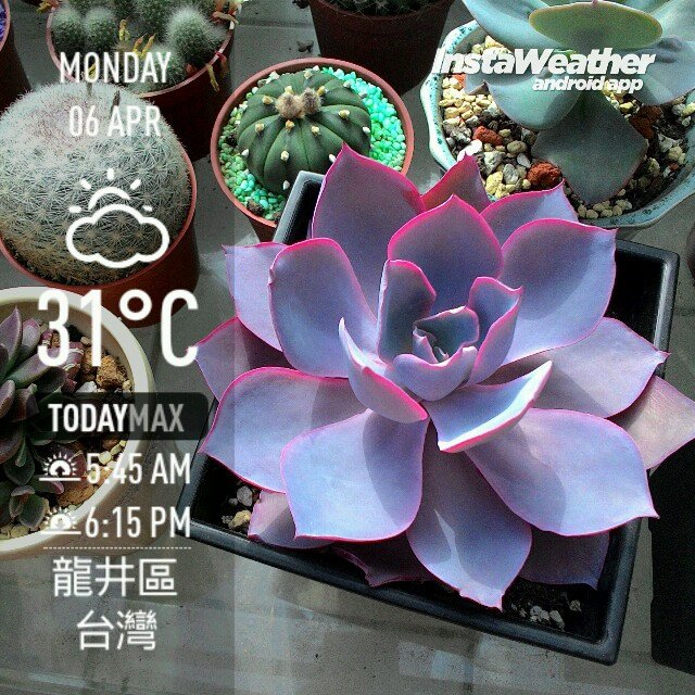 instaweather_20150406_150343.jpg