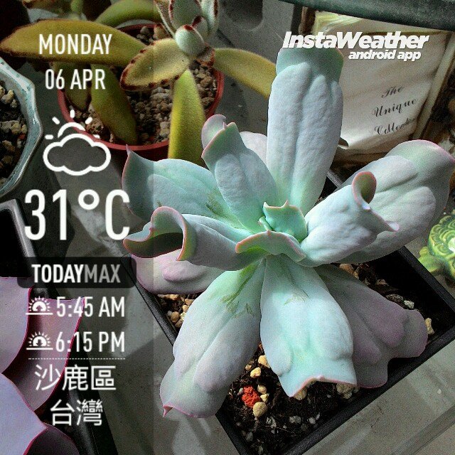 instaweather_20150406_150414.jpg