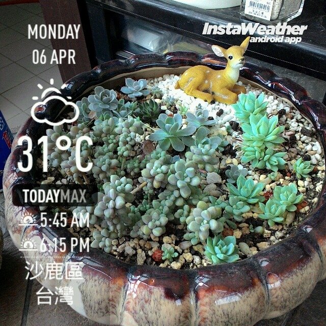 instaweather_20150406_150723.jpg