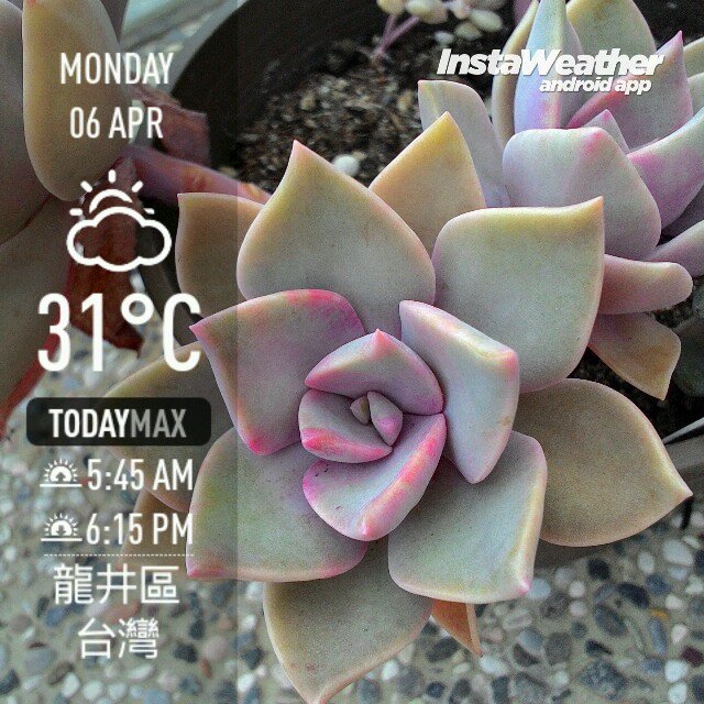 instaweather_20150406_150942.jpg