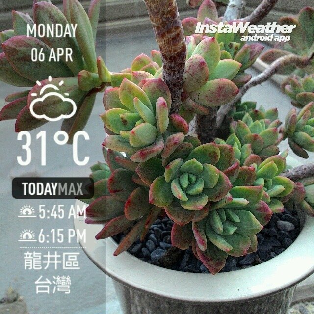 instaweather_20150406_151015.jpg