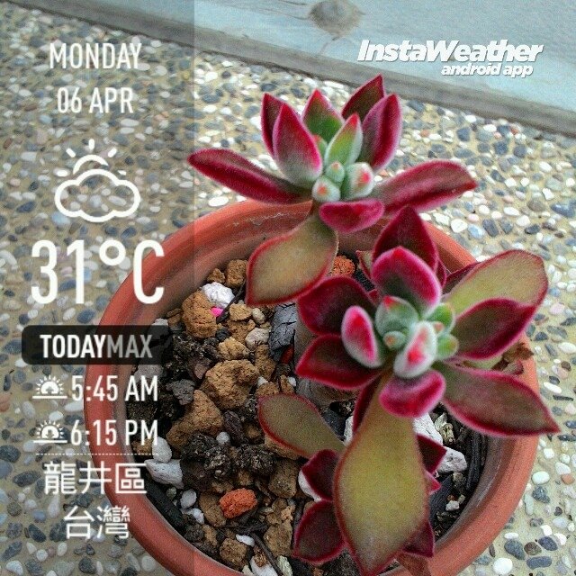 instaweather_20150406_151125.jpg