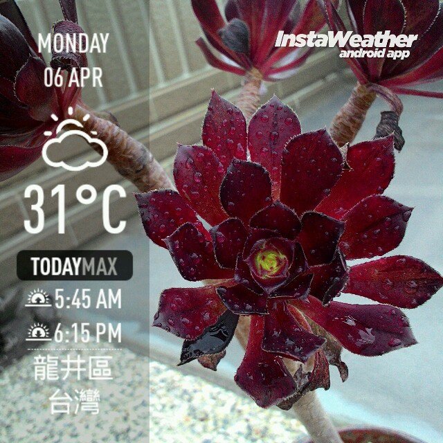 instaweather_20150406_151420.jpg