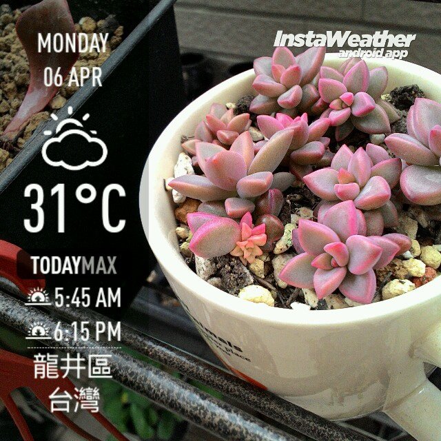 instaweather_20150406_151727.jpg