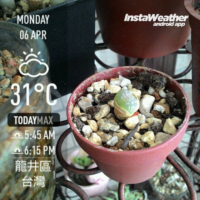 instaweather_20150406_151821.jpg