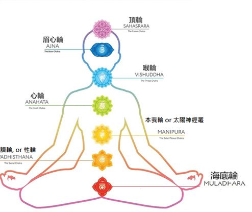 人體7脈輪(1)- 總論介紹@ 缽樂多- 頌缽聲音按摩與療癒工作室:: 痞客邦::