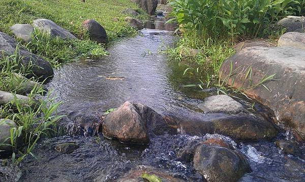 羅東運動公園3