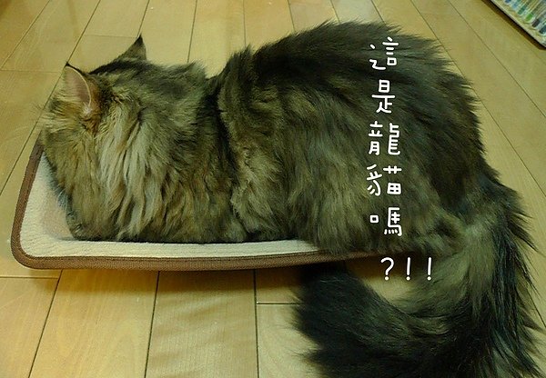 P1130863.JPG
