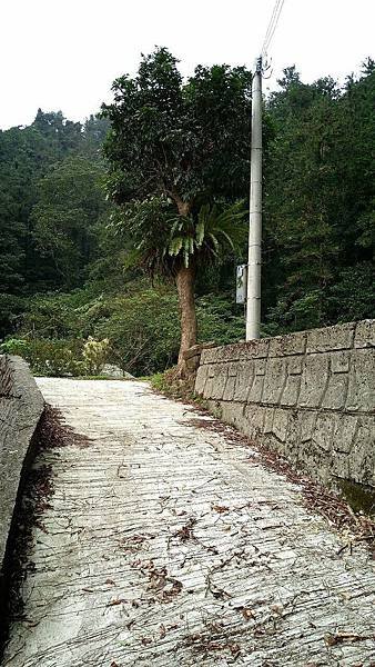 上坪美建地~馬莉好房 (1).jpg