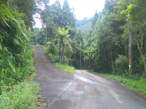 上坪美建地~馬莉好房 (6).jpg