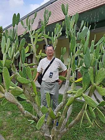 台南   兩日遊   草山月世界