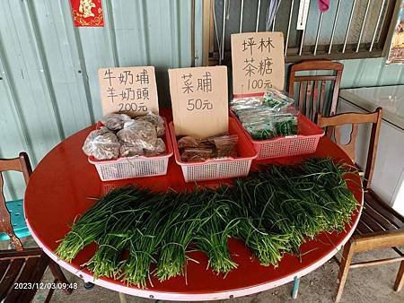 志工  一日遊   千島湖
