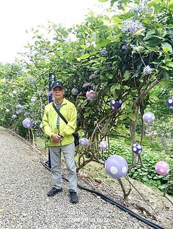 噢哈娜咖啡屋