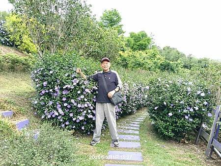 噢哈娜咖啡屋