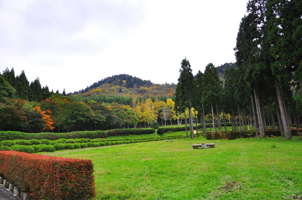 DSC_0140_3.jpg