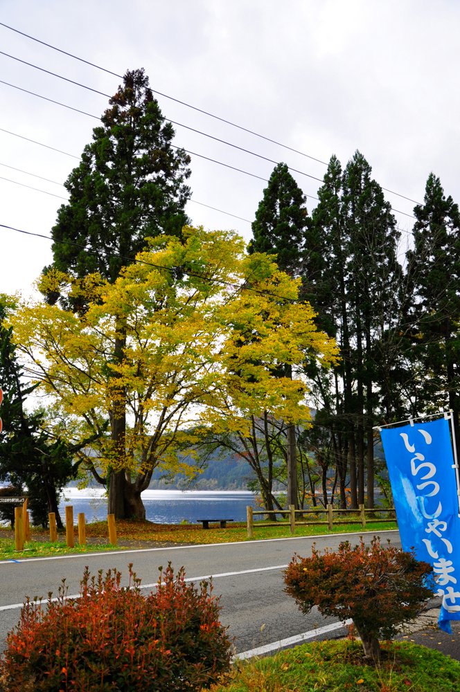 DSC_0081_2.jpg
