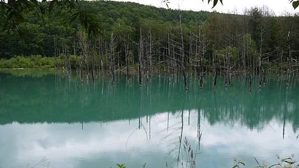 P1060847.JPG