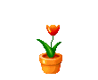 st_script_061.gif