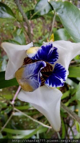 DSC_2078.jpg