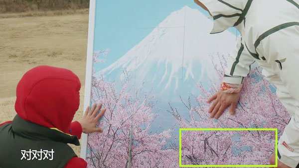 非凡搭檔 EP5 第五集 魏晨 黎明