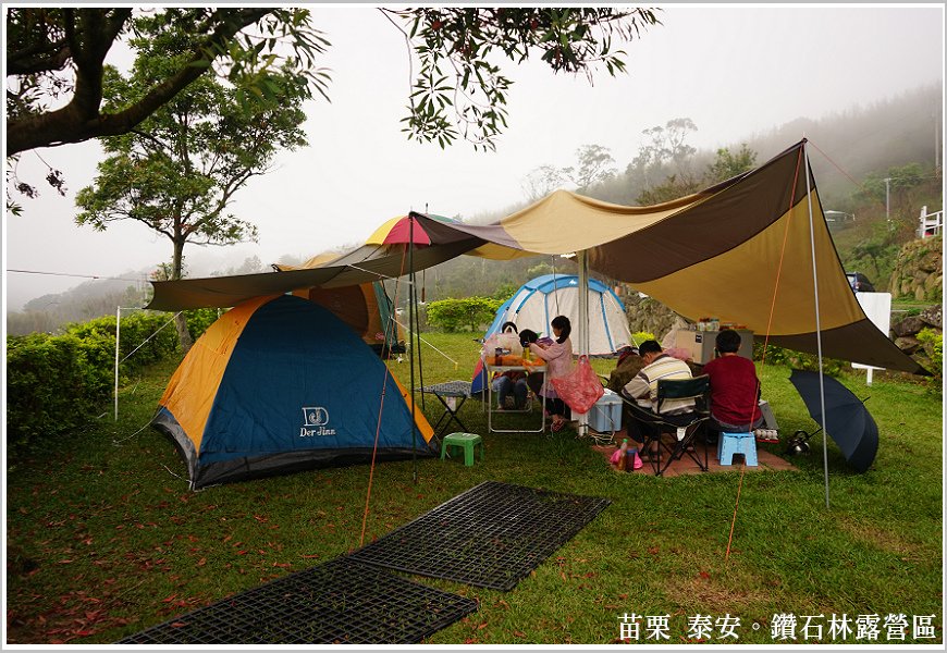 DSC0251613.jpg