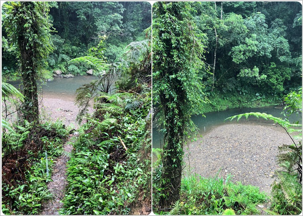 20190928魚蕨步道_190929_01160.jpg