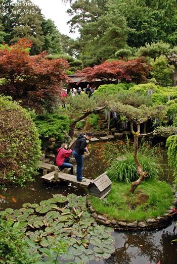 JPN Garden_015