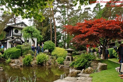 JPN Garden_014