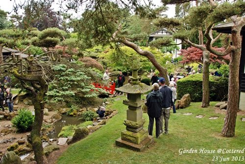 JPN Garden_013